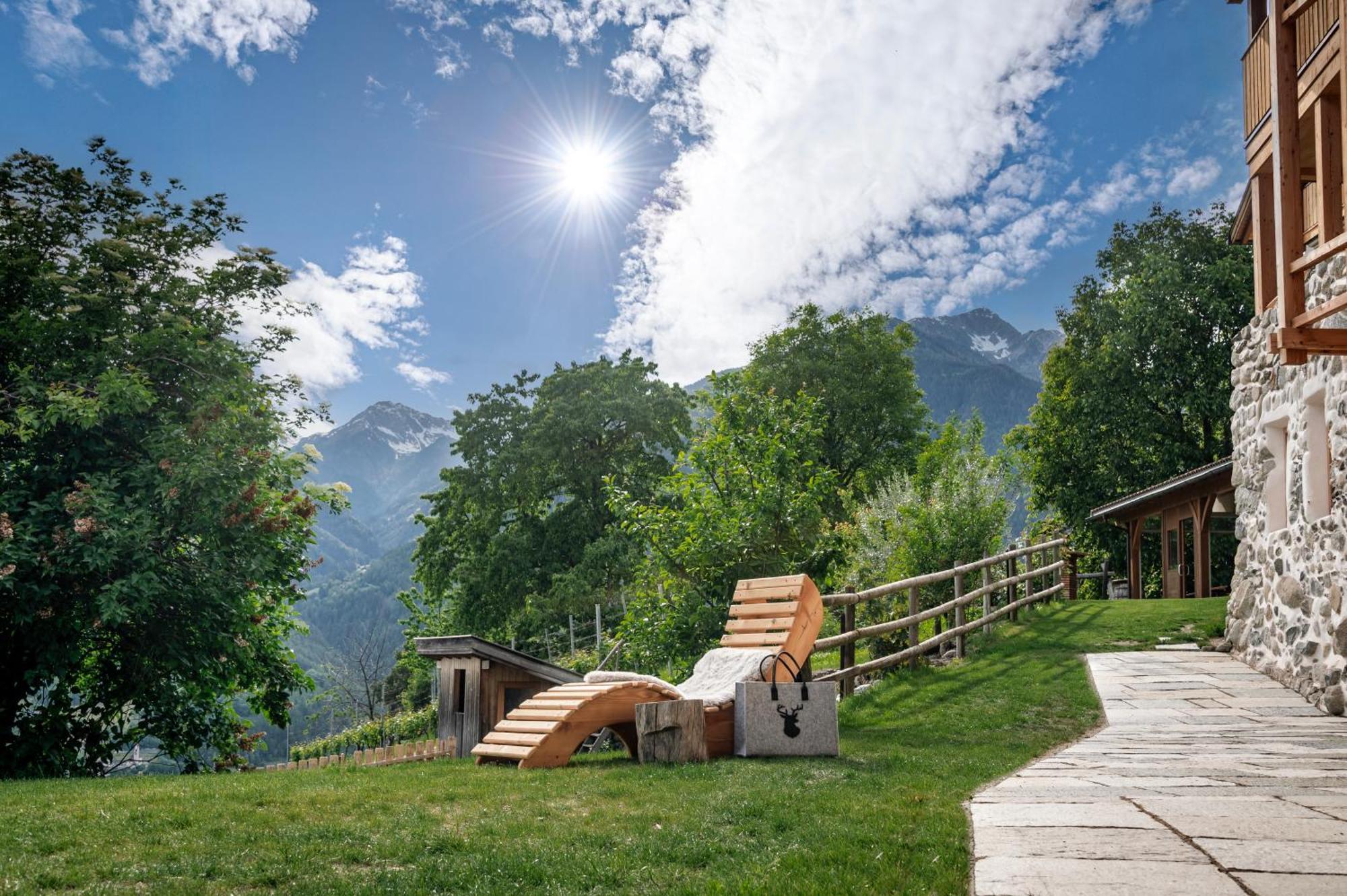 Trinnerhof- Hof Chalets Und Obsthof Mit Zimmer Natz-Schabs Dış mekan fotoğraf