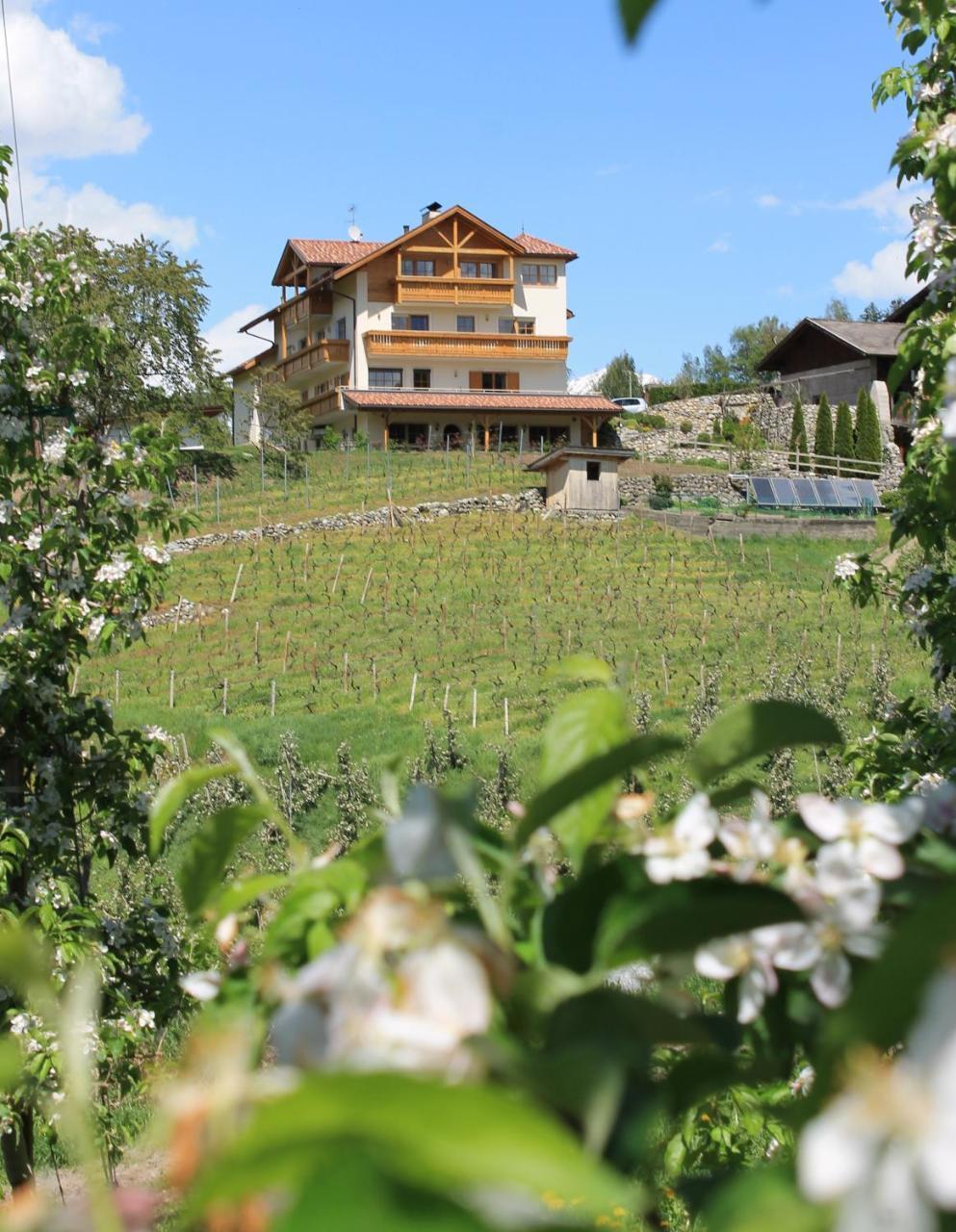 Trinnerhof- Hof Chalets Und Obsthof Mit Zimmer Natz-Schabs Dış mekan fotoğraf